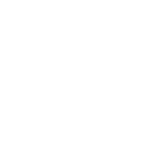 Sana Sana Horizontal Logo White